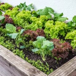 CarboVit, 7 Kg (0,70 Kg) -Negozio Lush Orto Economico andermatt biogarten carbovit 1486645 it