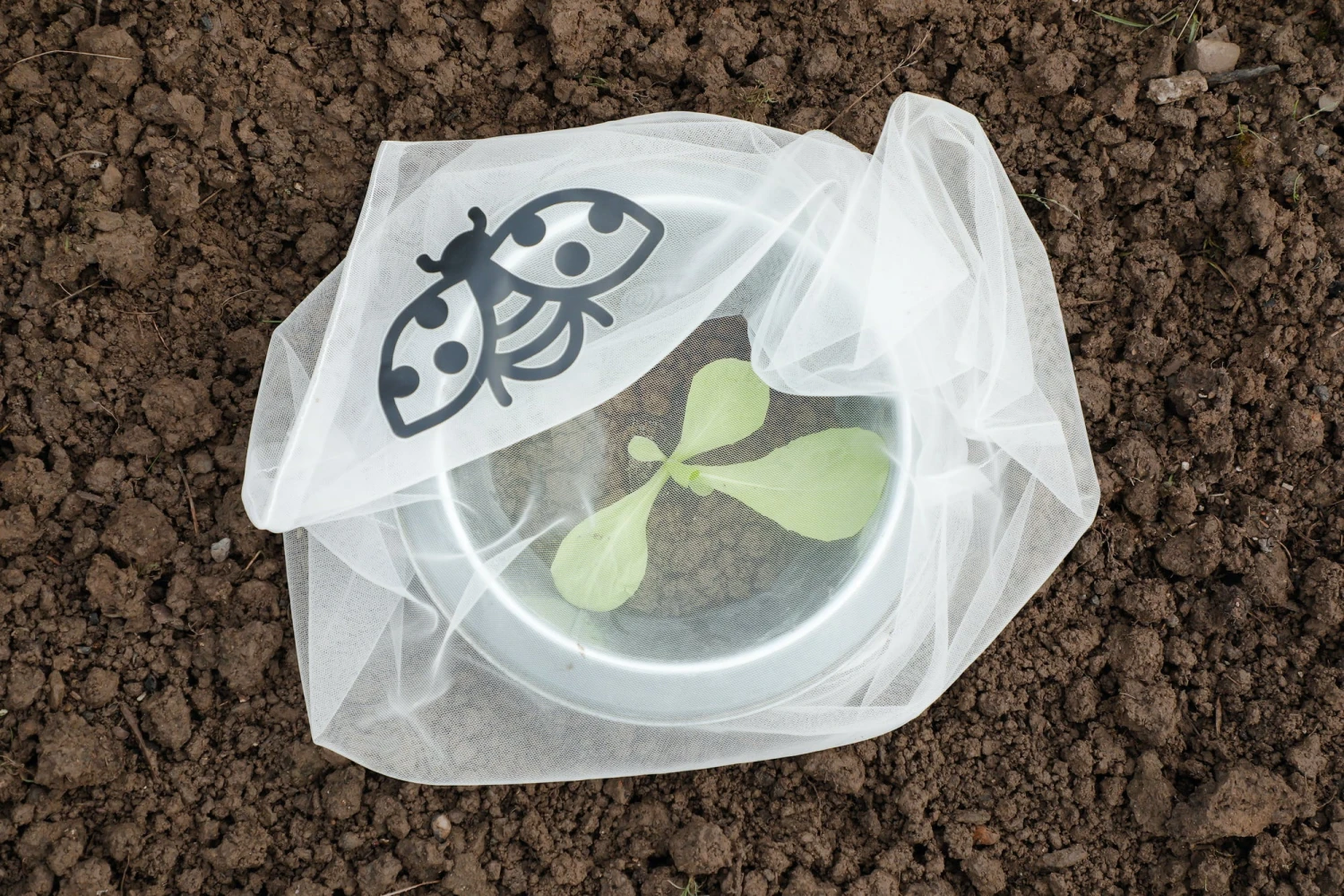 Copertura Protettiva Anti-Insetti - Verdura, 6 Pz. 2 Copertura Protettiva Anti-Insetti - Verdura, 6 Pz. - immagine 2