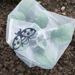 Copertura Protettiva Anti-Insetti - Verdura, 6 Pz. 7 Copertura Protettiva Anti-Insetti - Verdura, 6 Pz. -Negozio Lush Orto Economico andermatt biogarten copertura protettiva anti insetti verdura 6 pz 1614065 it