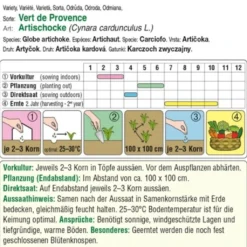 Carciofo "Verte De Provence"