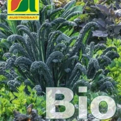 Cavolo Laciniato Bio - Nero Di Toscana