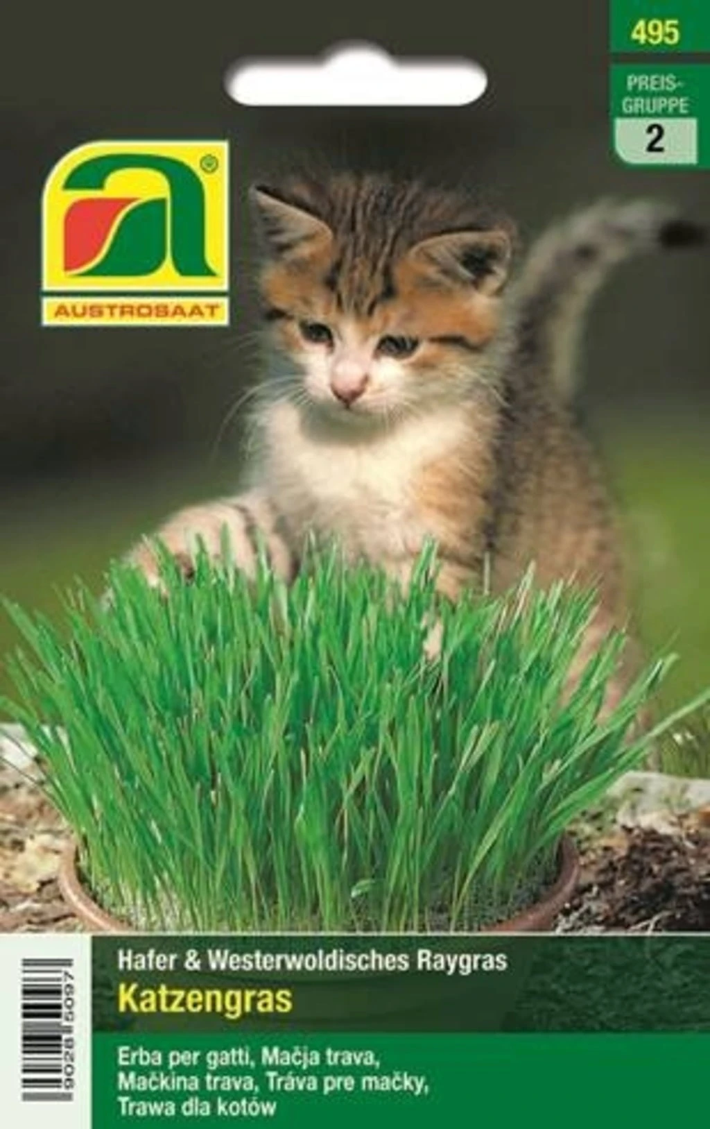 Erba Per Gatti 2 Erba Per Gatti - immagine 2