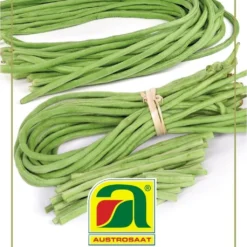 Negozio Lush Orto Economico -Negozio Lush Orto Economico austrosaat fagiolo asparago metro gourmet edition 1 paket 1660720 it