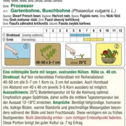 Fagiolo Nano "Processor"