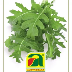 GOURMET EDITION - Rucola Coltivata "Vesuvio"