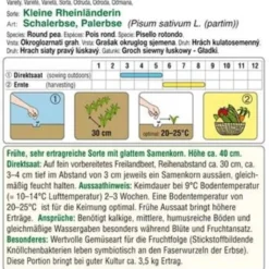 Pisello Rotondo "Kliene Rheinländerin"