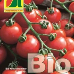 Pomodorino Bio - Zuckertraube