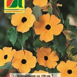 Negozio Lush Orto Economico -Negozio Lush Orto Economico austrosaat susanna dagli occhi neri 1 paket 1655650 it