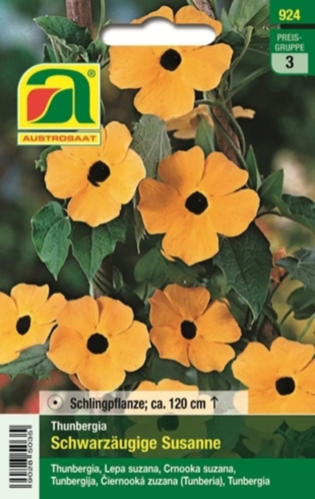 Susanna Dagli Occhi Neri 2 Susanna Dagli Occhi Neri - immagine 2