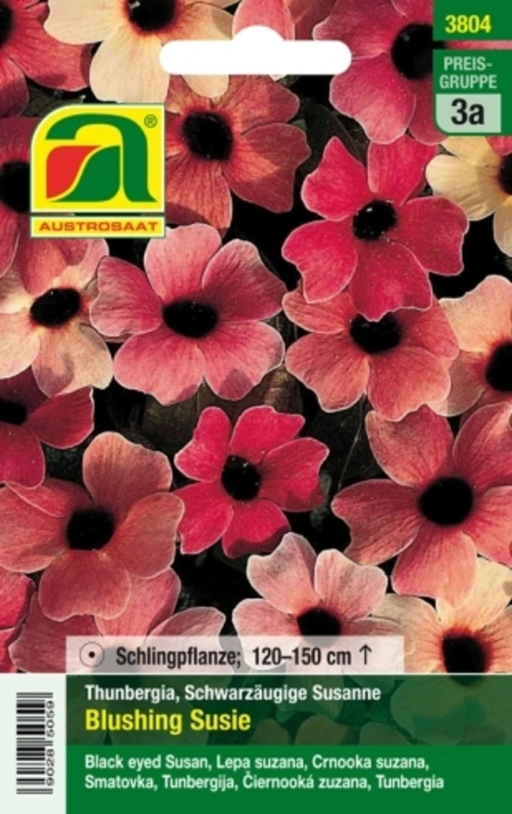 Susanne Dagli Occhi Neri "Blushing Susie" 2 Susanne Dagli Occhi Neri "Blushing Susie" - immagine 2