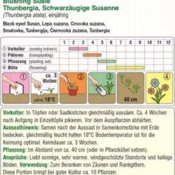 Susanne Dagli Occhi Neri "Blushing Susie"