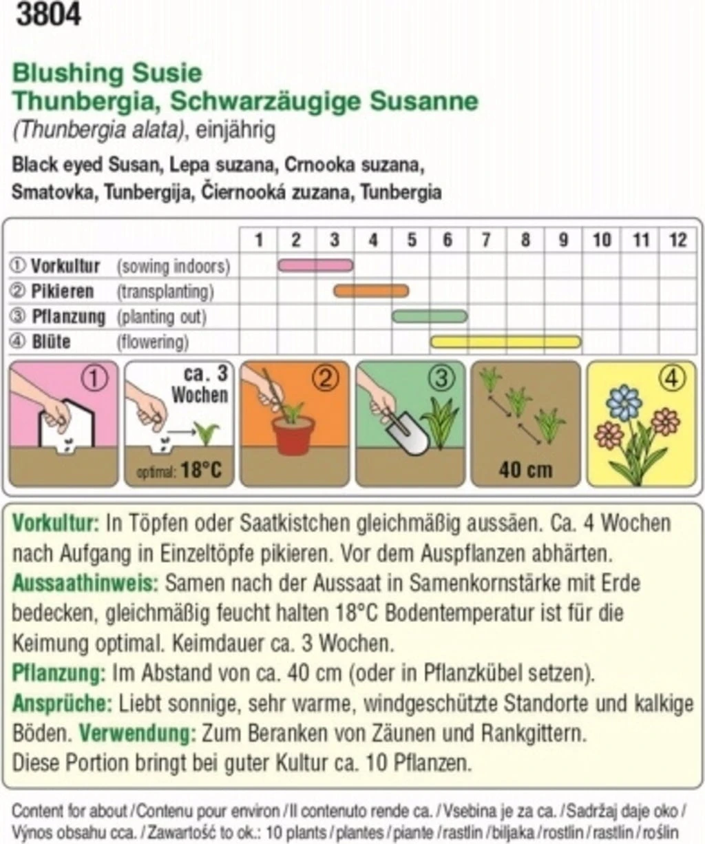 Susanne Dagli Occhi Neri "Blushing Susie" 1 Susanne Dagli Occhi Neri "Blushing Susie"
