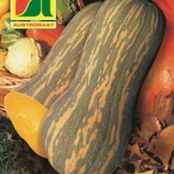 Zucca Moscata "Lunga Di Napoli"