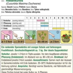 Negozio Lush Orto Economico -Negozio Lush Orto Economico austrosaat zucca uchiki kuri hokkaido bio 1 paket 1662209 it