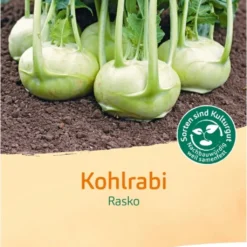 Cavolo Rapa Bianco -Rasko