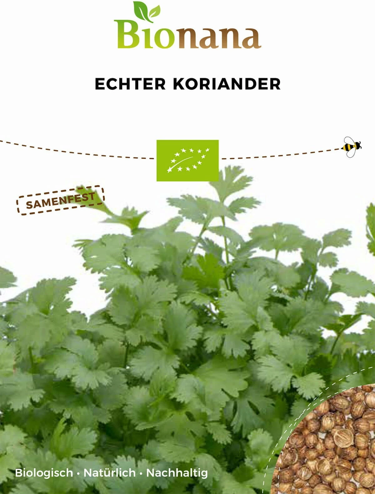 Coriandolo Bio 1 Coriandolo Bio