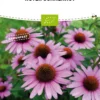 Echinacea Purpurea Bio