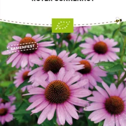 Echinacea Purpurea Bio