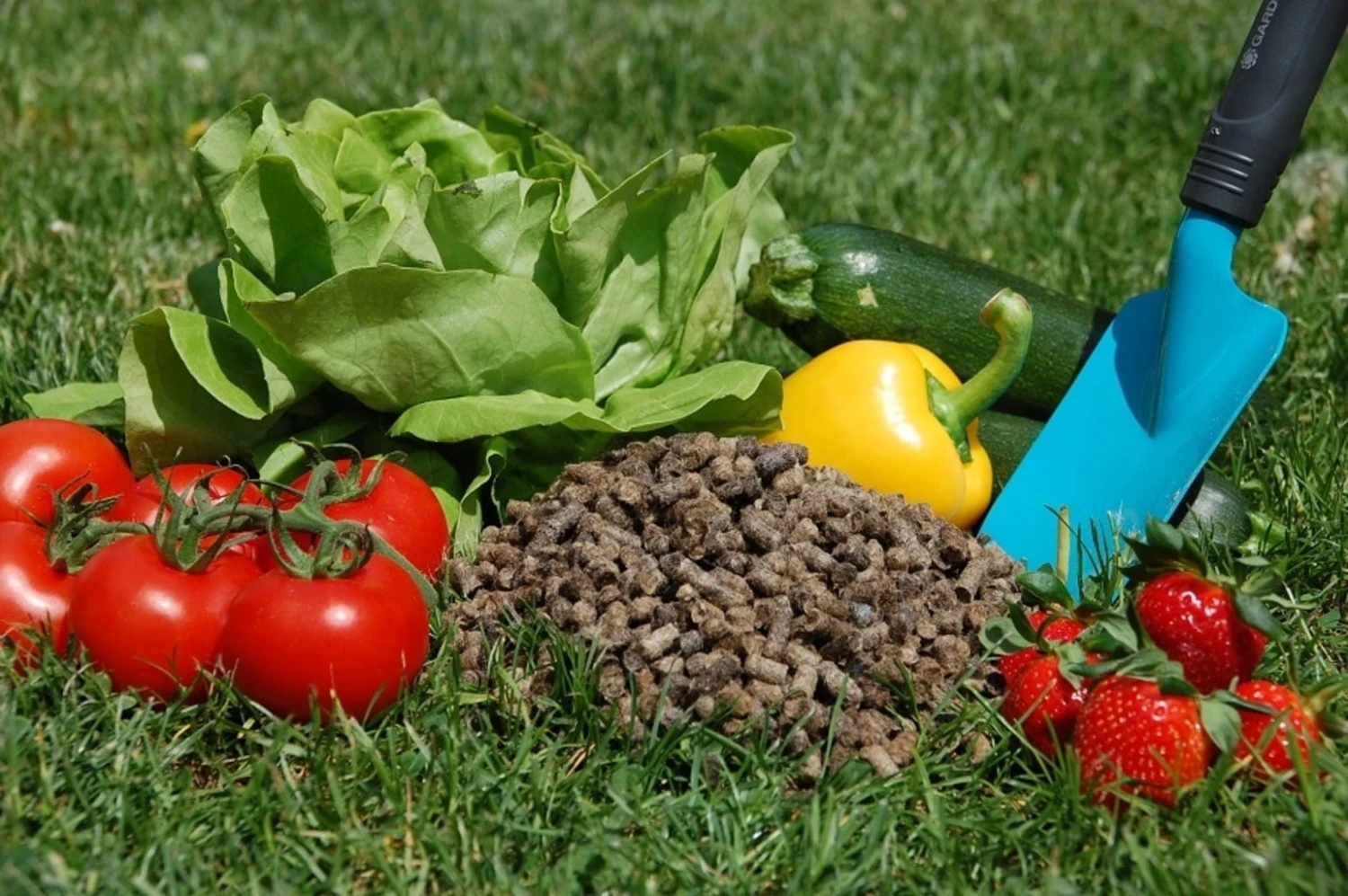 Pellet Fertilizzanti Bio 6 Pellet Fertilizzanti Bio - immagine 6