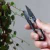 Forbici Da Potatura Per Bonsai - The Good Snips