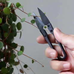 Forbici Da Potatura Per Bonsai - The Good Snips