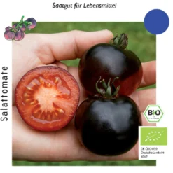 Pomodoro Bio - Indigo Rose