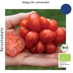 Pomodoro Bio - Voyage