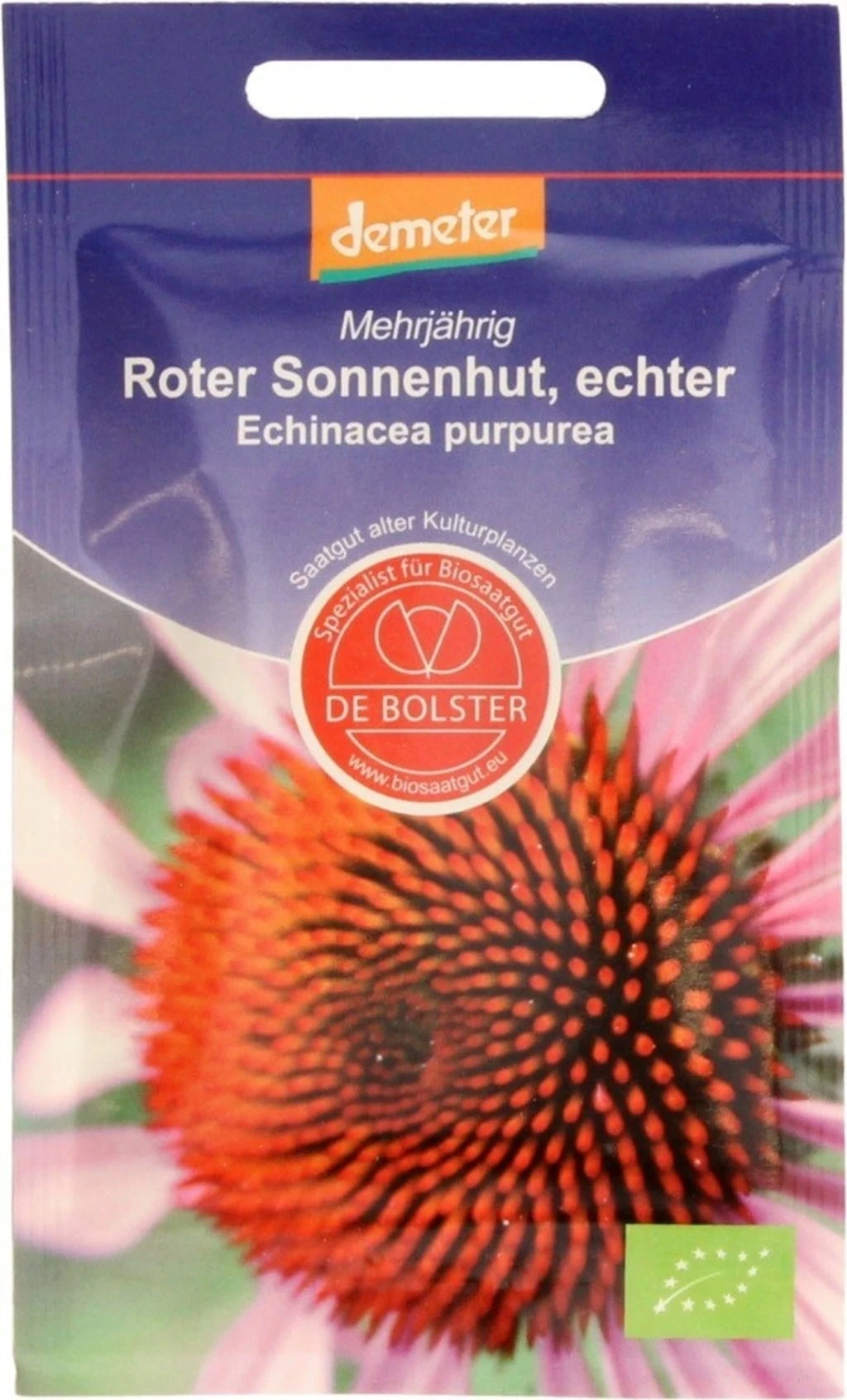 Echinacea Purpurea, 1 G 2 Echinacea Purpurea, 1 G - immagine 2