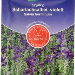 Salvia Annuale Viola, 1 G -Negozio Lush Orto Economico de bolster salvia annuale viola 1 g 1650444 it
