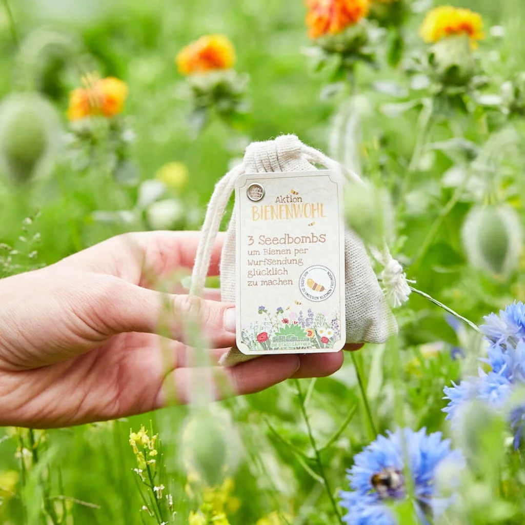 Bombe Di Semi - Api Felici 2 Bombe Di Semi - Api Felici - immagine 2