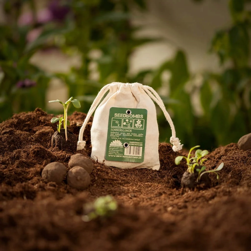 Bombe Di Semi - Campo Di Girasoli, 8 Pz. 2 Bombe Di Semi - Campo Di Girasoli, 8 Pz. - immagine 2