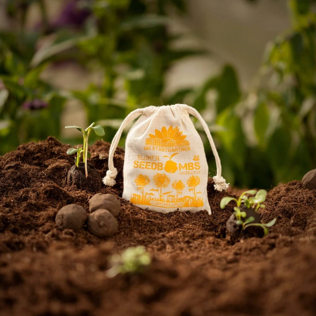 Bombe Di Semi - Campo Di Girasoli, 8 Pz. 3 Bombe Di Semi - Campo Di Girasoli, 8 Pz. - immagine 3