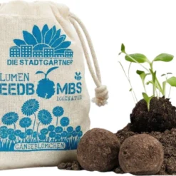 Bombe Di Semi - Prato Di Margheritine, 8 Pz.