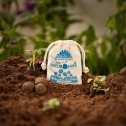 Bombe Di Semi - Prato Di Margheritine, 8 Pz. -Negozio Lush Orto Economico die stadtgaertner bombe di semi prato di margheritine 8 st 1665788 it