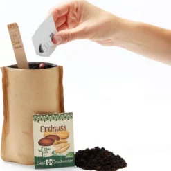 Mini-Giardino - Arachidi