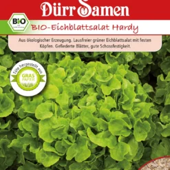Lattuga Verde BIO - Hardy