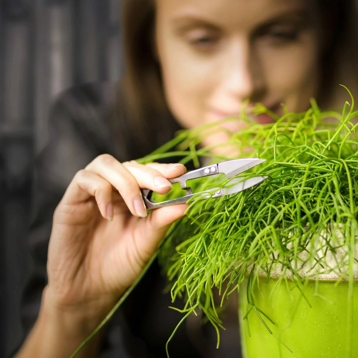 ESSCHERT DESIGN Mini Forbici In Acciaio Inox 2 ESSCHERT DESIGN Mini Forbici In Acciaio Inox - immagine 2