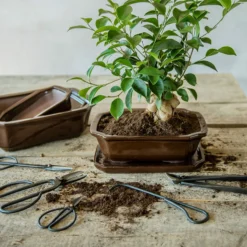ESSCHERT DESIGN Rastrello Per Radici Bonsai