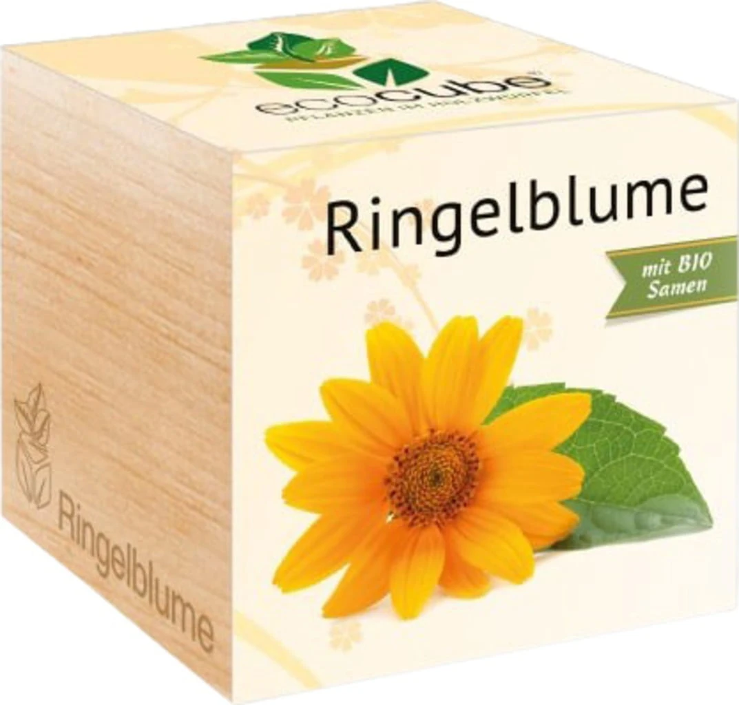 Ecocube - Calendula 1 Ecocube - Calendula