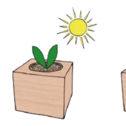 Ecocube - Fiore Di Cioccolato -Negozio Lush Orto Economico feel green ecocube fiore di cioccolato 1 st 1670015 it