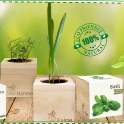 Ecocube - Tabasco 5 Ecocube - Tabasco -Negozio Lush Orto Economico feel green ecocube tabasco 1 st 1675673 it