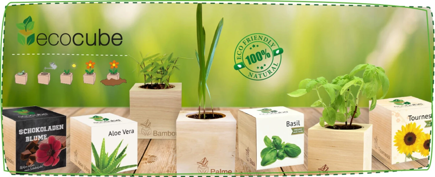 Ecocube - Tabasco 3 Ecocube - Tabasco - immagine 3