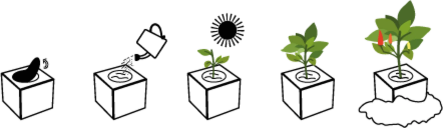 Ecocube - Tabasco 1 Ecocube - Tabasco