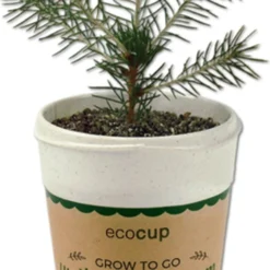 Ecocup - Albero Di Natale 6 Ecocup - Albero Di Natale -Negozio Lush Orto Economico feel green ecocup albero di natale 1 st 1670152 it
