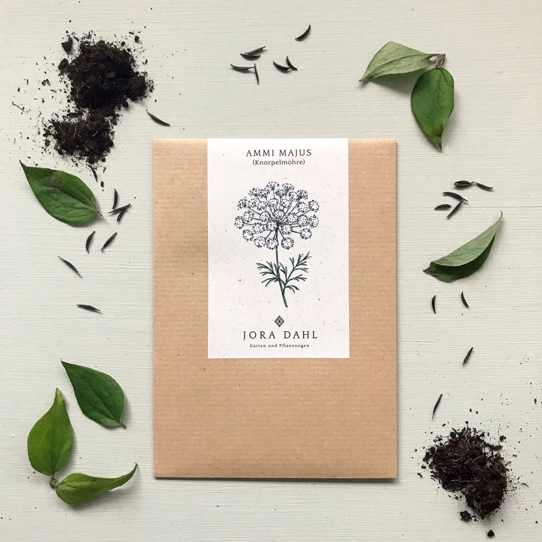 Ammi Majus 1 Ammi Majus