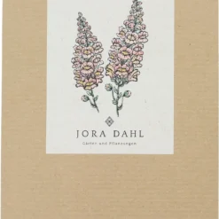 Antirrhinum Majus - Bocca Di Leone Costa Apricot 5 Antirrhinum Majus - Bocca Di Leone Costa Apricot -Negozio Lush Orto Economico jora dahl antirrhinum costa apricot 1 pkt 1401370 it