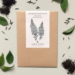 Antirrhinum Majus - Bocca Di Leone Royal Bride 5 Antirrhinum Majus - Bocca Di Leone Royal Bride -Negozio Lush Orto Economico jora dahl antirrhinum majus royal bride 1 conf 778380 it