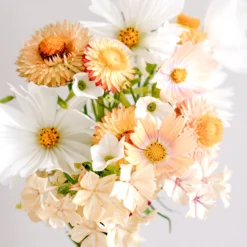 Wild Bouquet - Soft Apricot