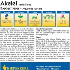 Aquilegia "Biedermeier"