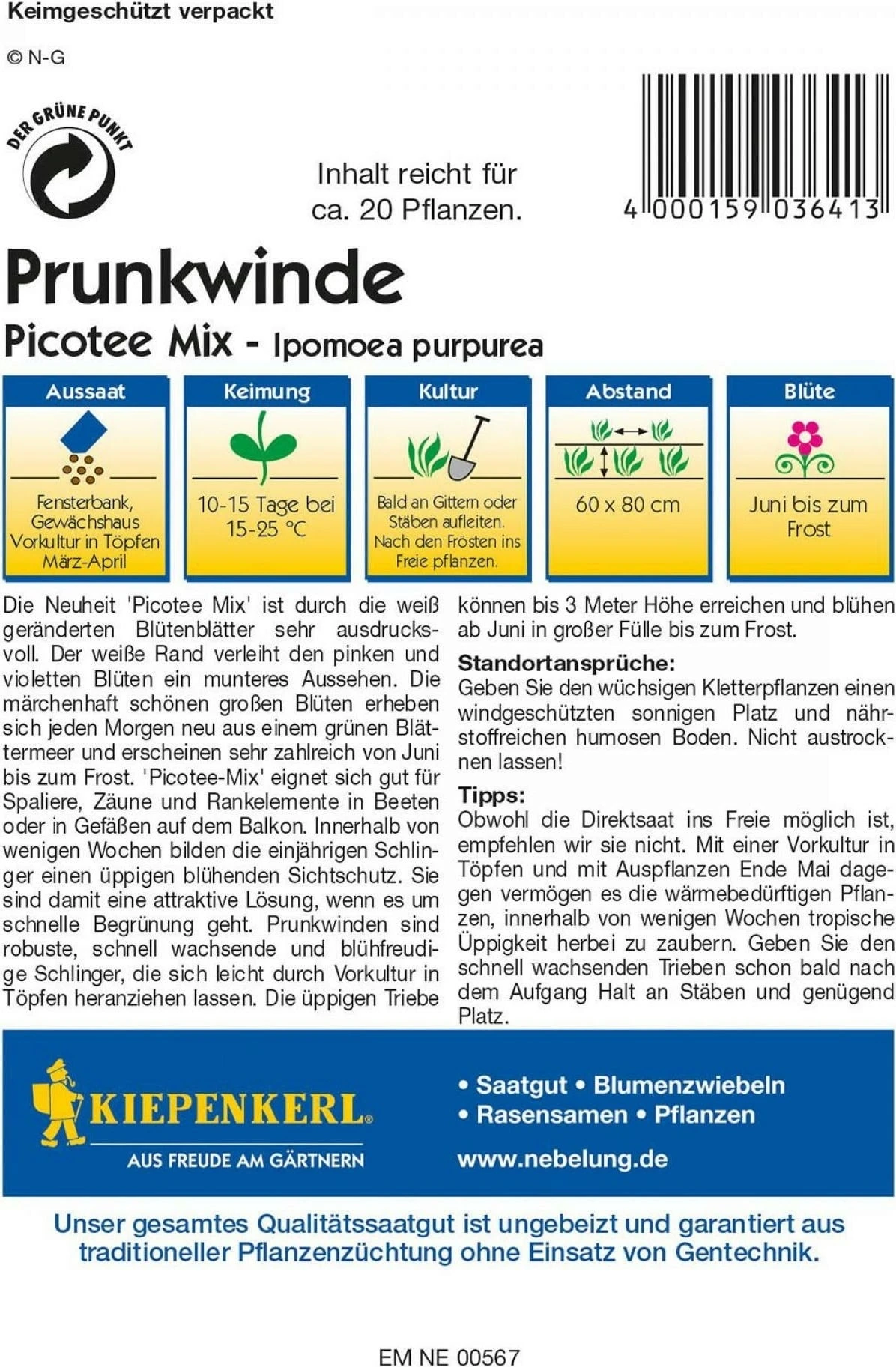 Campanella Rampicante "Picotee Mix" 2 Campanella Rampicante "Picotee Mix" - immagine 2